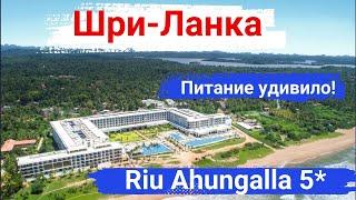 Шри-Ланка. Отель Riu Ahungalla 5*. Семейный, веселый, активный отель, отличное питание.