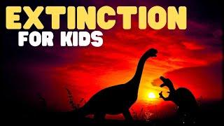 Extinction for Kids | Learn why some animals and plants no longer exist