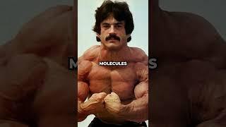 No Carbs = No Muscles | Mike Mentzer