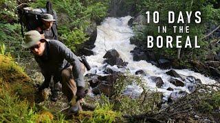 10-Day Trip into the Boreal Wilderness - Wabakimi