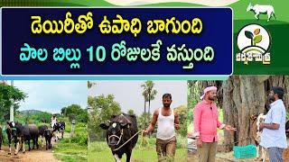 మినీ డెయిరీతో నెలకు 25 వేలు సంపాదిస్తున్నా || Success Story of Young Dairy Farmer || Karshaka Mitra