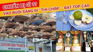 BUỔI SÁNG "ĐI THI CHIM" CẦN CHUẨN BỊ GÌ  - CHÀO MÀO HÓT ĐẤU