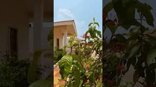 Hotels of Telangana | Nature at Haritha Grand Hotel | Telangana Tourism