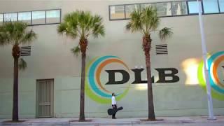 DLB Group Branding