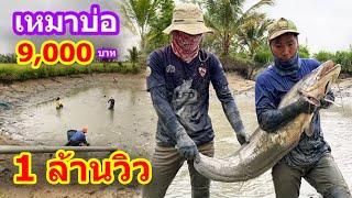 เหมาบ่อ 9,000บาท ใหญ่ๆเพียบ!!! บ่อนี้คุ้มยิ่งกว่าคุ้ม | Ep.049