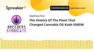 The History Of The Plant That Changed Cannabis OG Kush S04E06