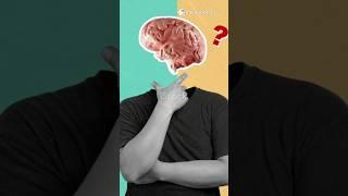 Myth or Fact: Do We Use Only 10% of Our Brain?shock