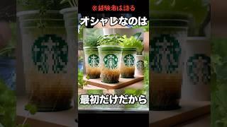 オシャレなプラカップでレタスの水耕栽培をしたい！と思ってやってみたら…#水耕栽培 #レタス水耕栽培#家庭菜園 #家庭菜園 #リーフレタス #フリルレタス #野菜水耕栽培#スタバのカップ