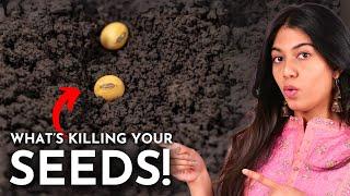 Top 5 Seed Germination Mistakes You’re Making