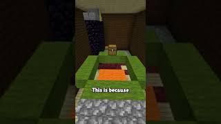 The Theoretical PERFECT Minecraft Speedrun