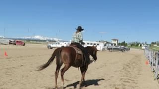 Covrha ranch riding Olly may 2017