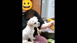 아강발에 정신팔린 덕만이