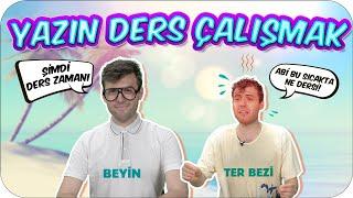 Yazın Ders Çalışırken İç Organlarımız 