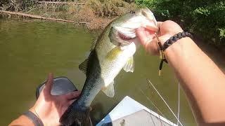 Catching Spawning Bass With the Magic Worm