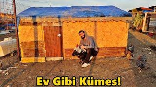 Kümes Bitti!-/Kümesin Son Durumu!#Tekirdağ#Süleymanpaşa#civciv#horoz#tavuk#hindi