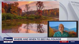 Leaf peeping: Here's where to see fall foliage on the East Coast