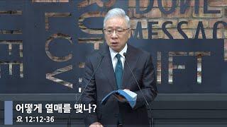 [아침예배] 어떻게 열매를 맺나? (요 12:12-36)_베이직교회_조정민 목사_20250213