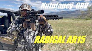 Naughty Black Rifle: Radical AR15