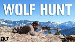 WOLF HUNT | Hunt Weekly | Episode 7