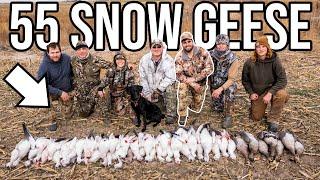 NON-STOP SNOW GOOSE SHOOT OUT! *INSANE HUNT*