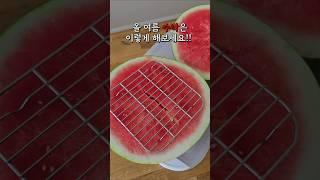 올 여름 수박 이렇게 해보세요! 이방법 꼬옥! 아셔야 합니다! #살림팁 #살림템 #수박#알텐바흐스텐밧드
