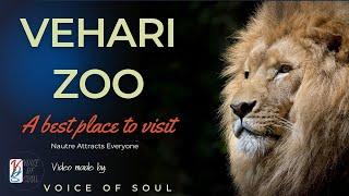 VISIT TO VEHARI WILD LIFE PARK (ZOO) / VEHARI ZOO (وہاڑی کے چڑیا گھر کی سیر)