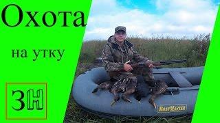 Видео Охота на утку в 2016