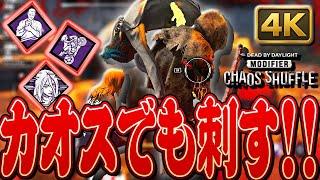 【DbD】弱音を引いてしまったが活躍できるのか！？カオスシャッフルでブライト戦！
