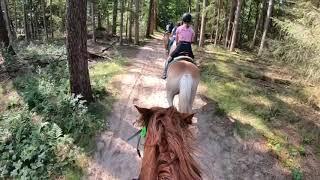 Buitenrit Manege van Loon 31.08.2019 | GoPro HERO 7 | FjordZorah