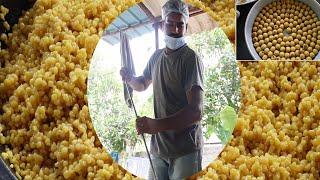 How To Making Boondi Laddu village Factory |Diwali Sweet Recipe|