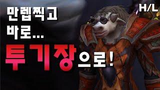 【암살도적 Hyogi】 만렙찍음... 바로 투기장으로 가셔야죠! 템은 경매장에서 쇼핑! --- 어둠땅 와우 투기장 평점제전장 평전