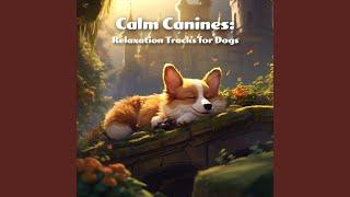 Calm Canines Vol. 1