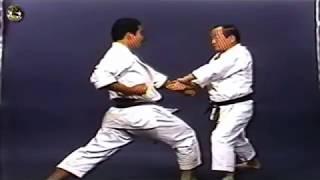 SHOTOKAN karate - The Nakayama - Heian Godan Kata and Bunkai (Каратэ Шотокан Накаямы)