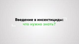 ВВЕДЕНИЕ В ИНСЕКТИЦИДЫ: Что нужно знать?