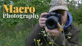 TIPS AND TRICKS | Macro photography - damselfly