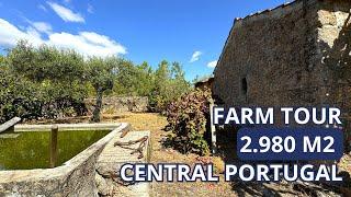 RESERVED | Central Portugal Farm for sale with 2980 m2 | Soalheira, Fundão