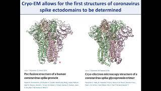 Daniel Wrapp - Structural insights into SARS-CoV-2 S and implications for therapeutic development