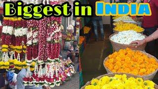 Biggest Flowers Market of India| Mumbai Sightseeing tour| Boundless Explorism.