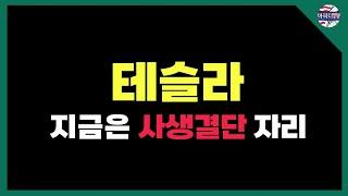 테슬라 절체 절명의 위기 상태, 트럼프와 같이 $300 돌파할 것인가? #테슬라