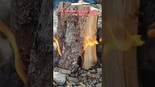 The Ultimate Camping Hack... The Split-Log Fire!