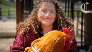 This Berkeley student ‘liberated’ four chickens from a California farm. It could send her to prison