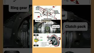 Explain Differential Gear / #gear #gearbox #mechanism #transmission #youtubeshorts #automobile #tech