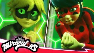 MIRACULOUS |  REVOLUÇÃO - Ladybug e Gato Noir  | As Aventuras de Ladybug