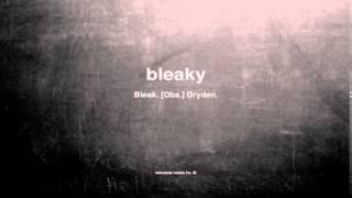 What does bleaky mean