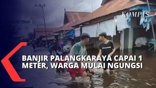 Ratusan Rumah di Kota Palangkaraya Terendam Banjir, Warga  Harapkan Uluran Tangan Pemerintah