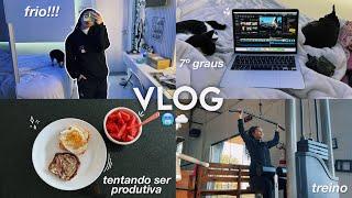 vlog: tentando seguir minha rotina no frio ️ 