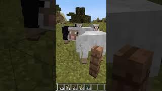 Minecraft Pek Bilinmeyen Bilgiler