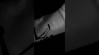 A GIANT SPIDER??? I NEED TO RUUUUUUUUN!