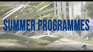 Discover the Summer Programmes at Rennes School of Business