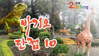 바기오의 단점 10가지, 필리핀 바기오의 단점 해소방법,  10 disadvantages of Baguio, how to overcome them. 제2의 인생 DS SONG.